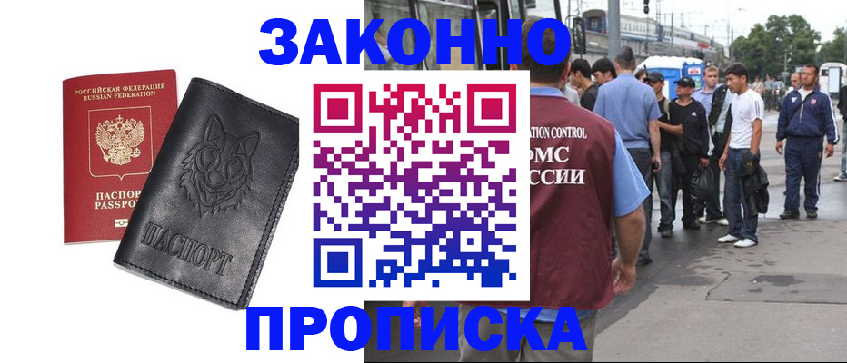 прописка поиск в Тынде